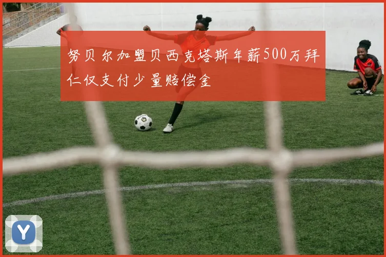 努贝尔加盟贝西克塔斯年薪500万拜仁仅支付少量赔偿金