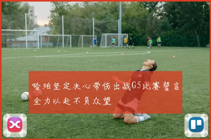 哈珀坚定决心带伤出战G5比赛誓言全力以赴不负众望