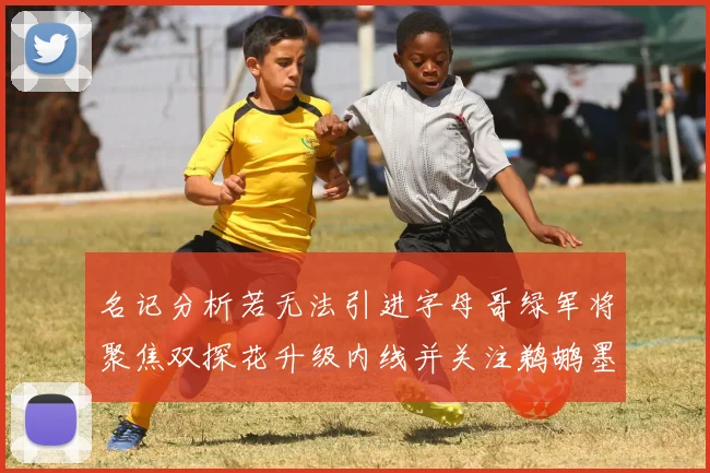 名记分析若无法引进字母哥绿军将聚焦双探花升级内线并关注鹈鹕墨菲