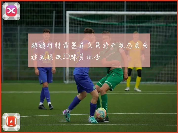 鹈鹕对特雷墨菲交易持开放态度或迎来顶级3D球员机会