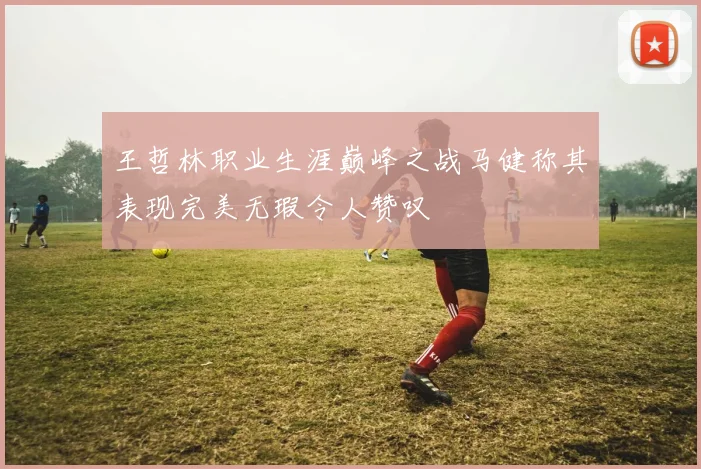 王哲林职业生涯巅峰之战马健称其表现完美无瑕令人赞叹