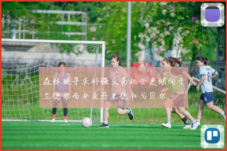 森林狼寻求补强交易机会更倾向于兰德尔而非麦丹里德和戈贝尔