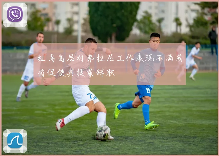红鸟高层对弗拉尼工作表现不满或将促使其提前辞职