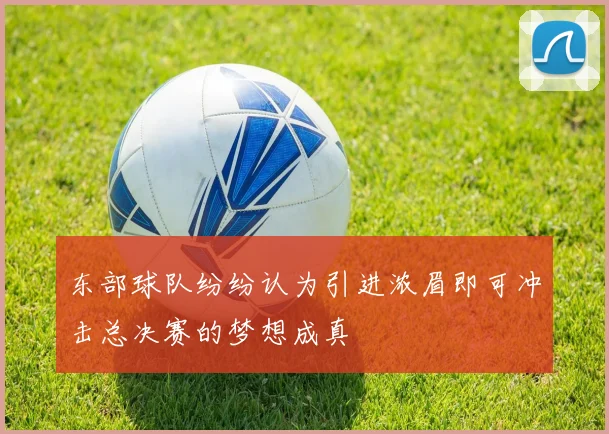 东部球队纷纷认为引进浓眉即可冲击总决赛的梦想成真